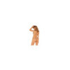 Maillot de bain - Souiten gorge Filipines gold